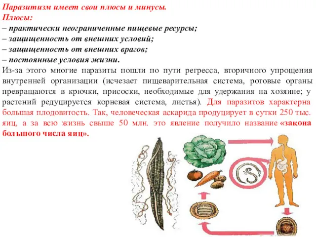 Паразитизм имеет свои плюсы и минусы. Плюсы: – практически неограниченные