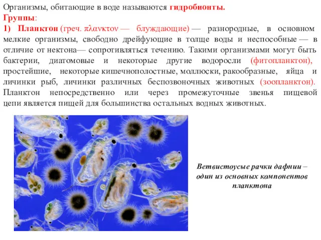 Организмы, обитающие в воде называются гидробионты. Группы: 1) Планктон (греч.