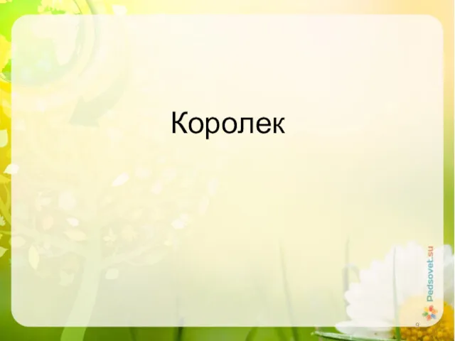 Королек