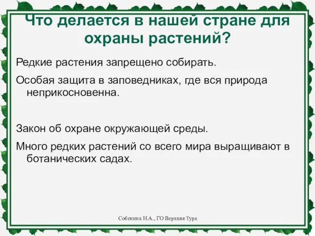 Что делается в нашей стране для охраны растений? Редкие растения