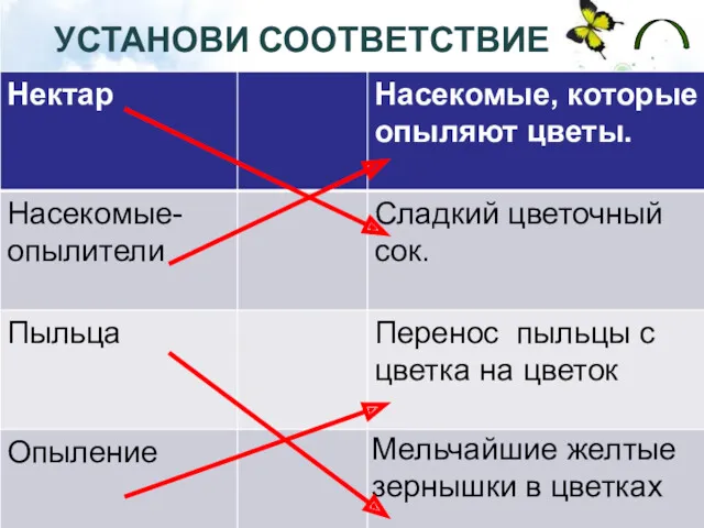 УСТАНОВИ СООТВЕТСТВИЕ