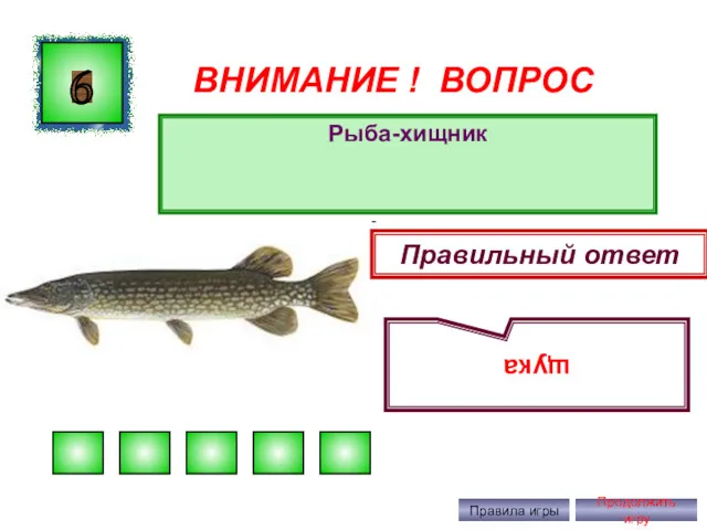 ВНИМАНИЕ ! ВОПРОС Рыба-хищник 6 щука Правила игры Продолжить игру Правильный ответ