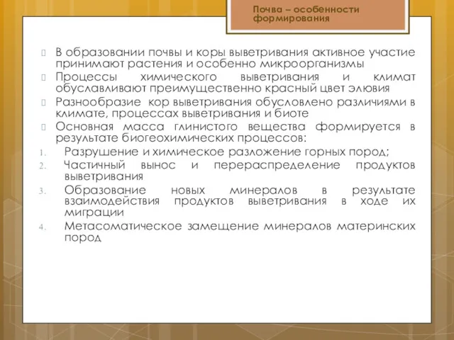 В образовании почвы и коры выветривания активное участие принимают растения