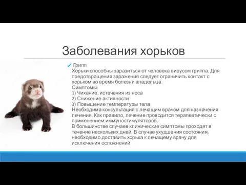 Заболевания хорьков Грипп Хорьки способны заразиться от человека вирусом гриппа.