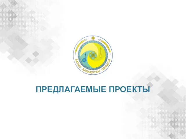 ПРЕДЛАГАЕМЫЕ ПРОЕКТЫ