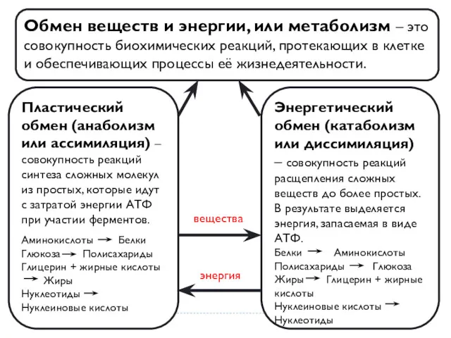 Обмен веществ и энергии, или метаболизм – это совокупность биохимических