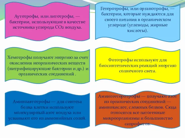 Аутотрофы, или литотрофы, — бактерии, использующие в качестве источника углерода