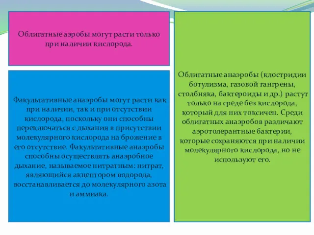 Облигатные аэробы могут расти только при наличии кислорода. Облигатные анаэробы