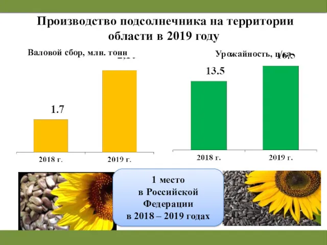 Производство подсолнечника на территории области в 2019 году Валовой сбор,