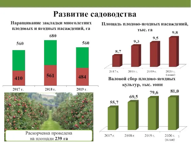 Развитие садоводства Валовой сбор плодово-ягодных культур, тыс. тонн Площадь плодово-ягодных