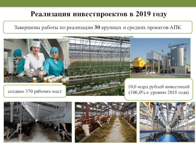 Реализация инвестпроектов в 2019 году Завершены работы по реализации 30