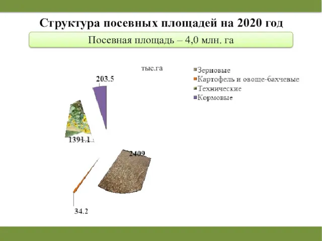 Структура посевных площадей на 2020 год Посевная площадь – 4,0 млн. га тыс.га