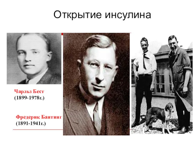 Чарльз Бест (1899-1978г.) Фредерик Бантинг (1891-1941г.) Открытие инсулина