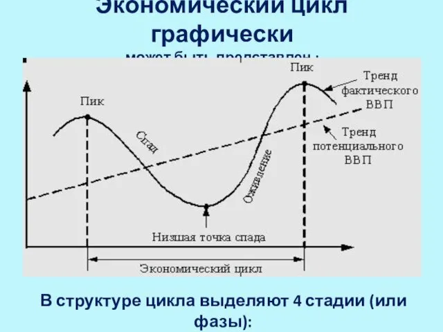 Экономический цикл графически может быть представлен : В структуре цикла выделяют 4 стадии (или фазы):