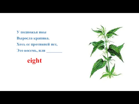 У подножья ивы Выросла крапива. Хоть ее противней нет, Это восемь, или ________ eight