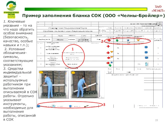 Пример заполнения бланка СОК (ООО «Челны-Бройлер») 1. Ключевые указания – то на что