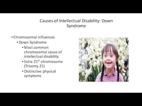 Causes of Intellectual Disability: Down Syndrome Chromosomal influences Down Syndrome