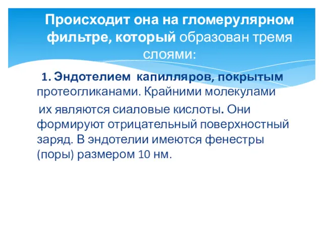 1. Эндотелием капилляров, покрытым протеогликанами. Крайними молекулами их являются сиаловые кислоты. Они формируют