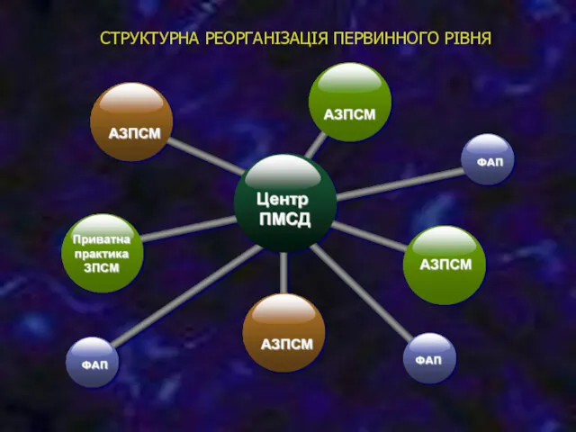 СТРУКТУРНА РЕОРГАНІЗАЦІЯ ПЕРВИННОГО РІВНЯ