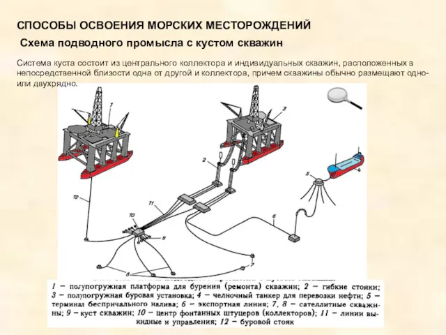 СПОСОБЫ ОСВОЕНИЯ МОРСКИХ МЕСТОРОЖДЕНИЙ Схема подводного промысла с кустом скважин