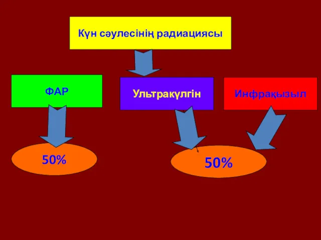 Күн сәулесінің радиациясы ФАР Ультракүлгін Инфрақызыл 50% 50%