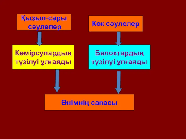 Қызыл-сары сәулелер Көмірсулардың түзілуі ұлғаяды Көк сәулелер Белоктардың түзілуі ұлғаяды Өнімнің сапасы