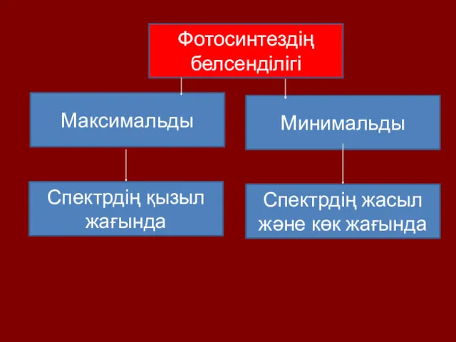 Фотосинтездің белсенділігі Спектрдің қызыл жағында Минимальды Максимальды Спектрдің жасыл және көк жағында