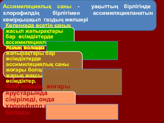 . Ассимиляциялық саны - уақыттың бірлігінде хлорофилдің бірлігімен ассимиляцияланатын көмірқышқыл