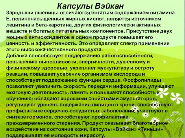 Капсулы Вэйкан Зародыши пшеницы отличаются богатым содержанием витамина Е, полиненасыщенных