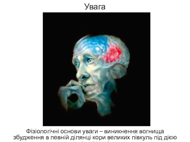 Увага Фізіологічні основи уваги – виникнення вогнища збудження в певній ділянці кори великих