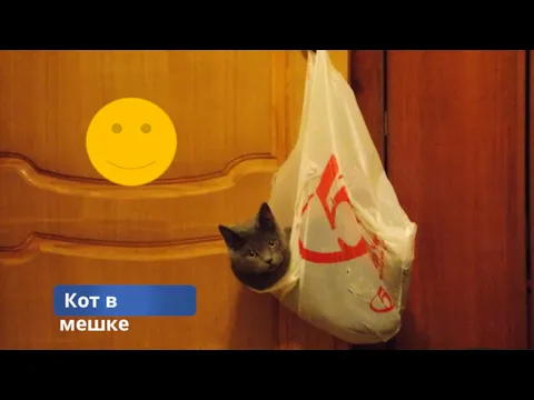 Кот в мешке