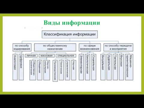 Виды информации