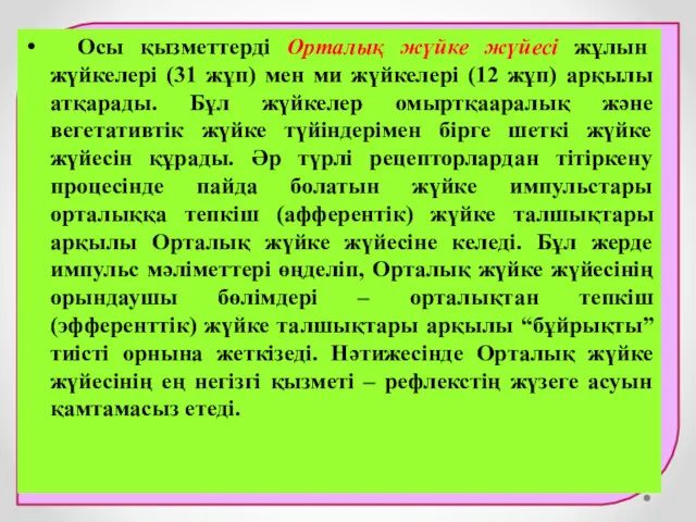 Осы қызметтерді Орталық жүйке жүйесі жұлын жүйкелері (31 жұп) мен