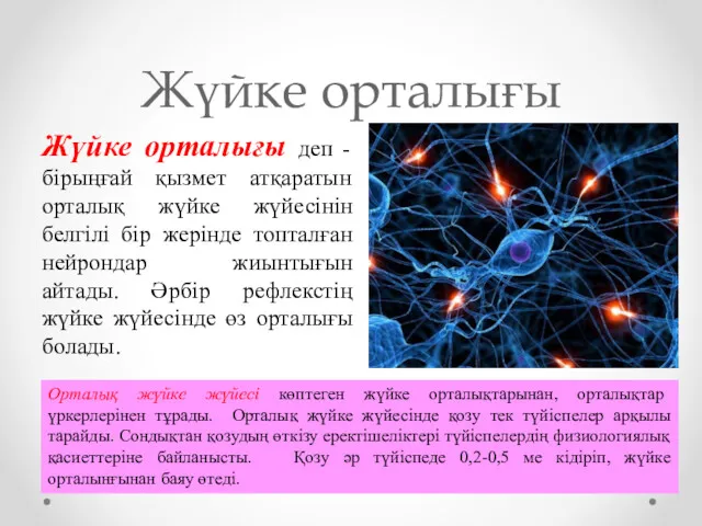 Жүйке орталығы Жүйке орталығы деп - бірыңғай қызмет атқаратын орталық жүйке жүйесінін белгілі