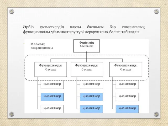 Әрбір қызметкердің нақты басшысы бар классикалық функционалды ұйымдастыру түрі иерархиялық болып табылады