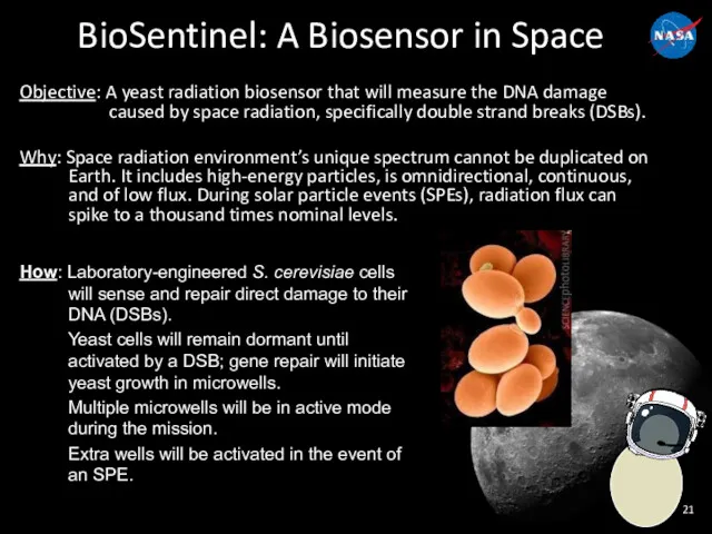 BioSentinel: A Biosensor in Space Objective: A yeast radiation biosensor