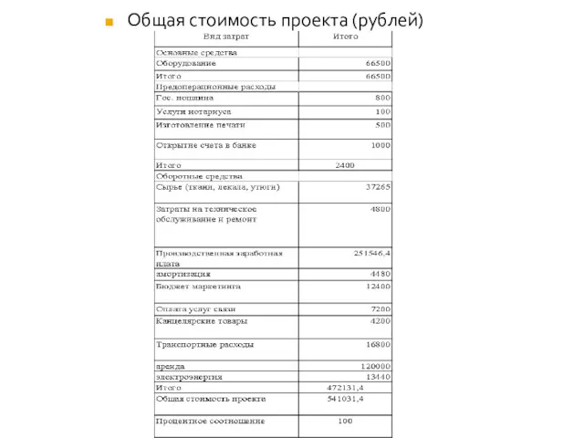 Общая стоимость проекта (рублей)