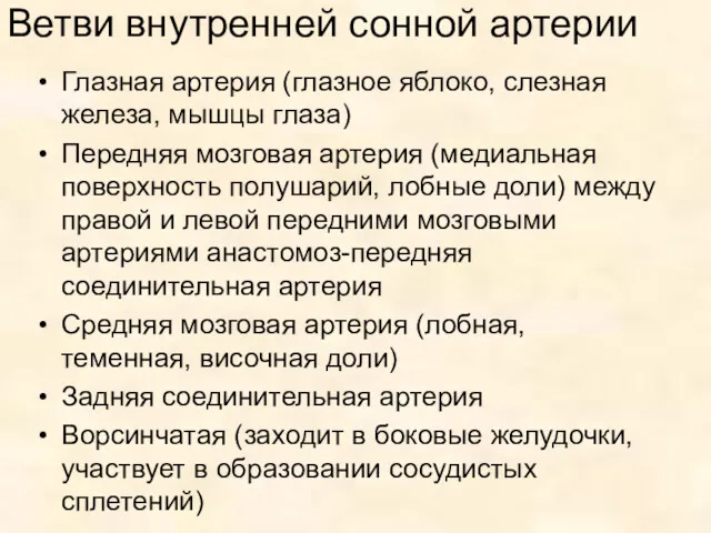 Ветви внутренней сонной артерии Глазная артерия (глазное яблоко, слезная железа,