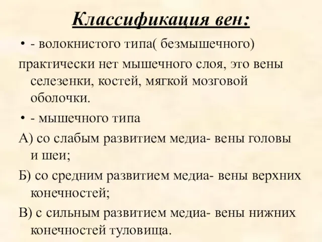 Классификация вен: - волокнистого типа( безмышечного) практически нет мышечного слоя,