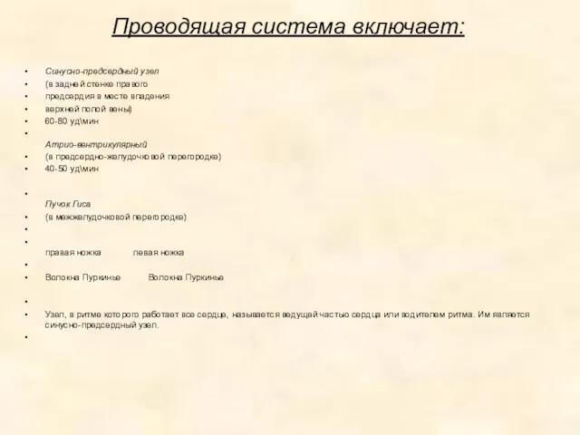 Проводящая система включает: Синусно-предсердный узел (в задней стенке правого предсердия