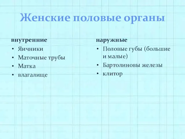 Женские половые органы внутренние Яичники Маточные трубы Матка влагалище наружные