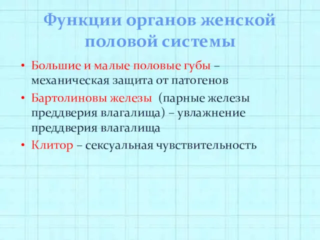 Функции органов женской половой системы Большие и малые половые губы