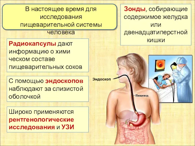 В настоящее время для исследования пищеварительной системы человека используются Зонды,