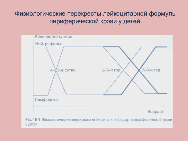 Физиологические перекресты лейкоцитарной формулы периферической крови у детей.