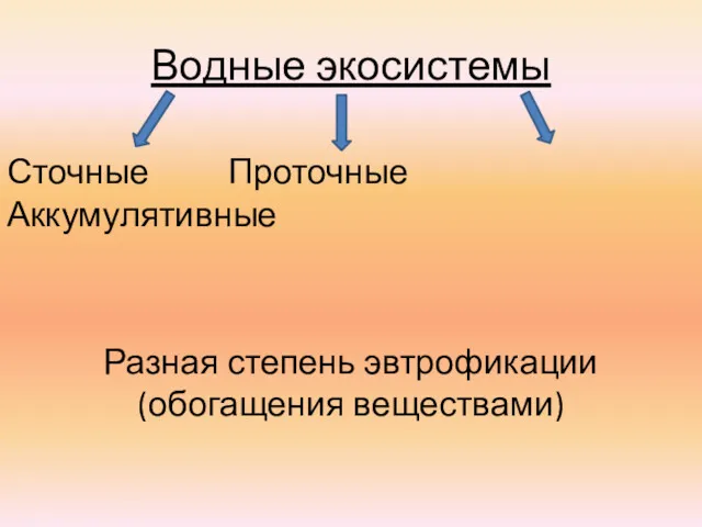 Водные экосистемы Сточные Проточные Аккумулятивные Разная степень эвтрофикации (обогащения веществами)