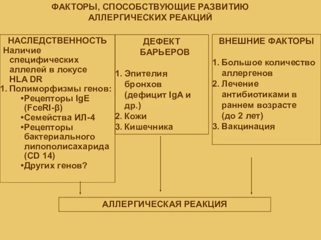 ФАКТОРЫ, СПОСОБСТВУЮЩИЕ РАЗВИТИЮ АЛЛЕРГИЧЕСКИХ РЕАКЦИЙ НАСЛЕДСТВЕННОСТЬ Наличие специфических аллелей в локусе HLA DR