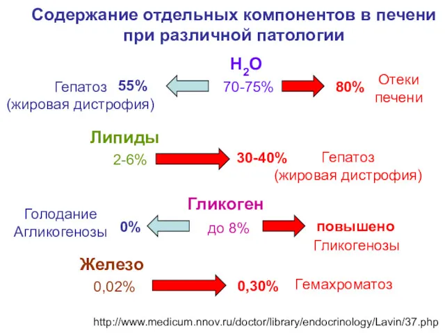 Содержание отдельных компонентов в печени при различной патологии Н2О 70-75%