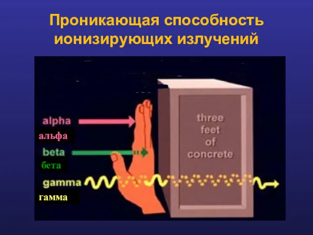 Проникающая способность ионизирующих излучений альфа бета гамма
