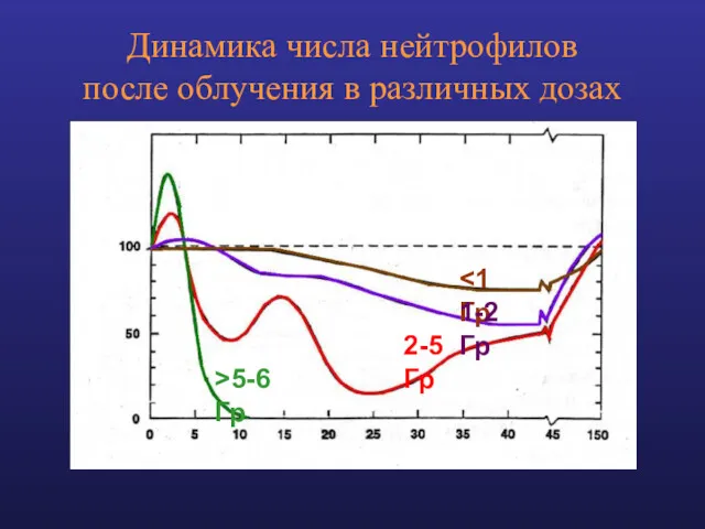 Динамика числа нейтрофилов после облучения в различных дозах 1-2 Гр