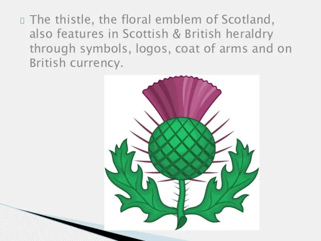 The thistle, the floral emblem of Scotland, also features in